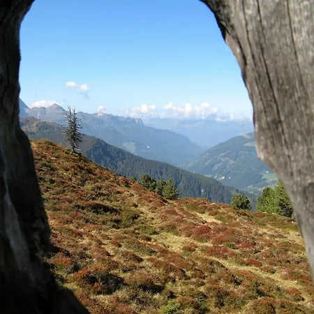 ホテル Alpenherz Garni 4*