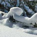 Alpenherz Garni 4* גרלוס