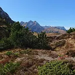 Alpenherz Garni